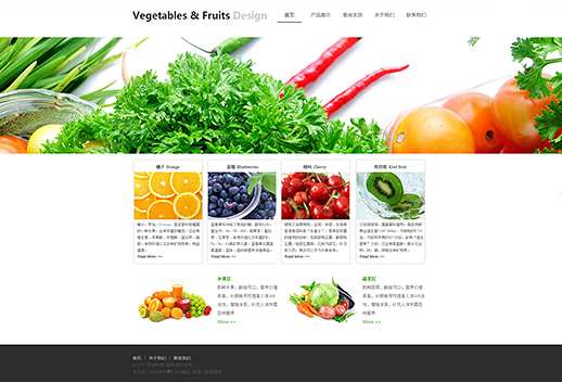 红萝卜蔬菜免费网站模板